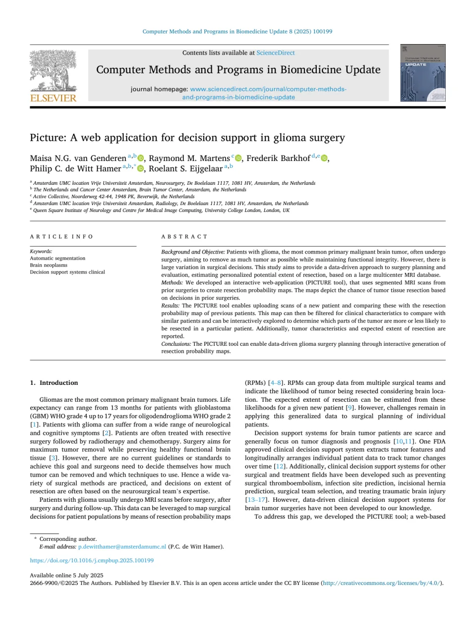 Voorpagina van PICTURE: decision support in glioma surgery