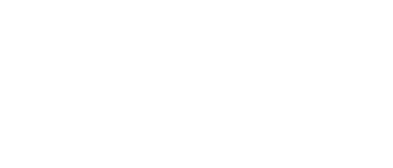 Universiteit Leiden